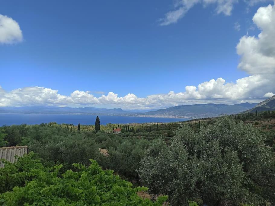 Holiday home Tsigkos ! *